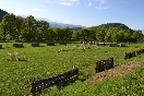 Array
