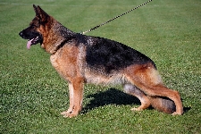 Photo114