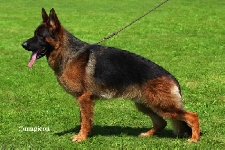 Photo104