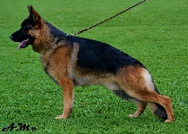 Photo100