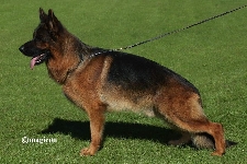 Photo52