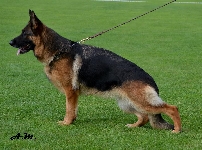 Photo50