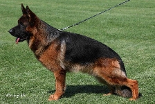 Photo49