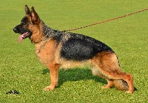 Photo49