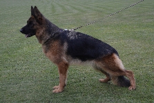 Photo46