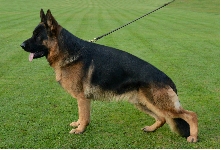 Photo45