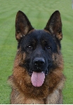 Photo45