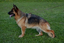 Photo43
