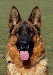 Photo44