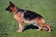 Photo42