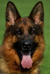 Photo42