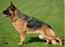 Photo40