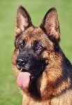 Photo40