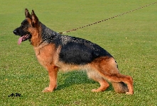 Photo47
