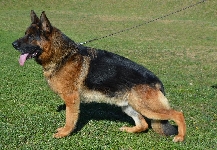 Photo48