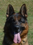 Photo48