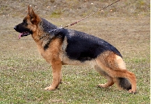 Photo48
