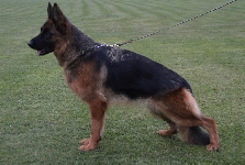 Photo38