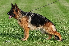 Photo33
