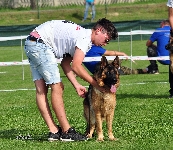 Photo33