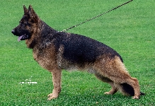 Photo28