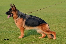 Photo28