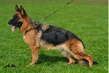 Photo26