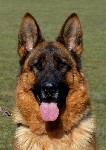 Photo26