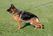 Photo23