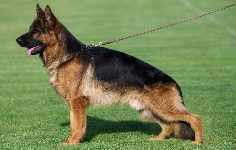 Photo24