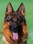 Photo24