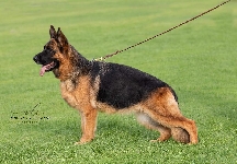 Photo22
