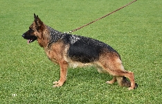 Photo21