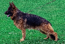 Photo20