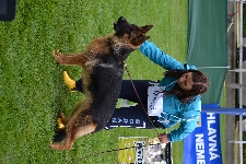 Photo1