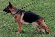 Photo1