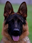 Photo1