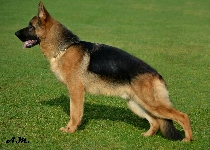 Photo1