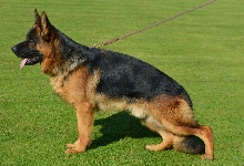 Photo1